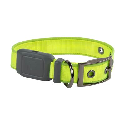 Nite Ize NiteDog Green Rechargeable LED Collar Size Small NDCRS-17-R3