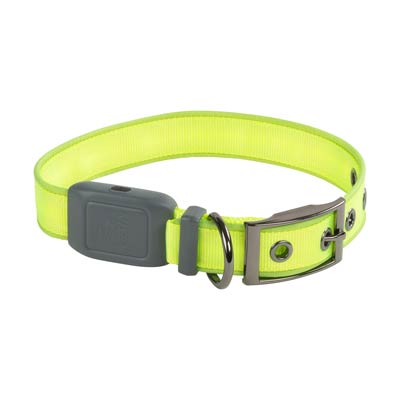 Nite Ize NiteDog Green Rechargeable LED Collar Size Medium NDCRM-17-R3