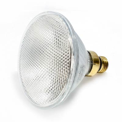 70W PAR38 Flood Halogen Light Bulb