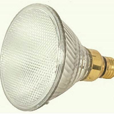 PAR38 60W Flood Halogen Light Bulb